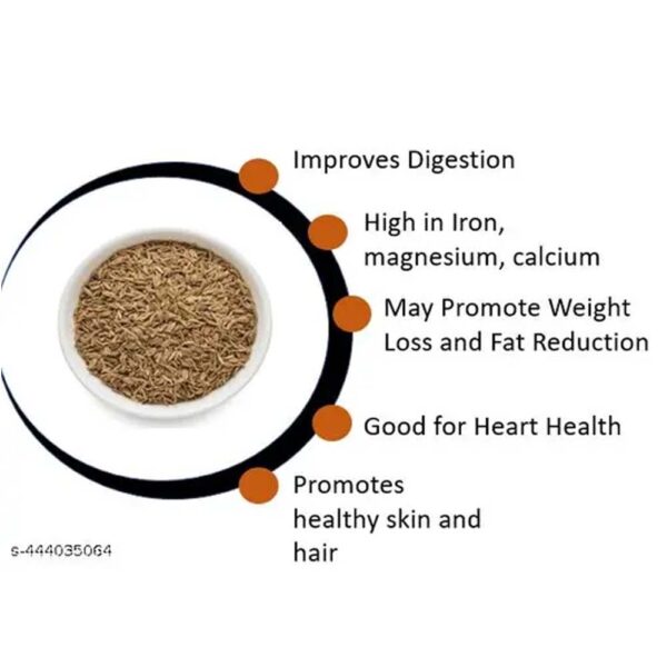 CUMIN SEESS | JEERA - 250 G PACK - Image 2